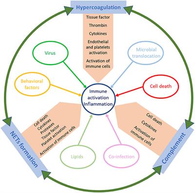 The Youngbloods. Get Together. Hypercoagulation, Complement, and NET Formation in HIV/SIV Pathogenesis